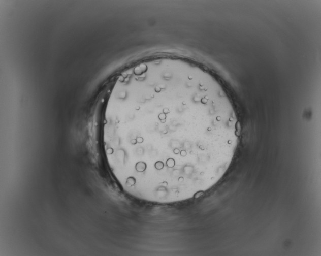 X0000094351496200711241903