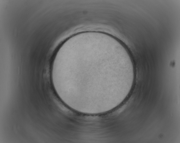 X0000094351498200711241903