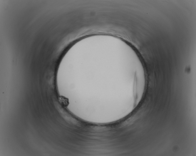 X0000094351499200711241903