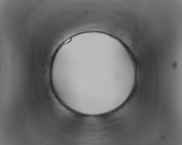 X0000094351500200711241903