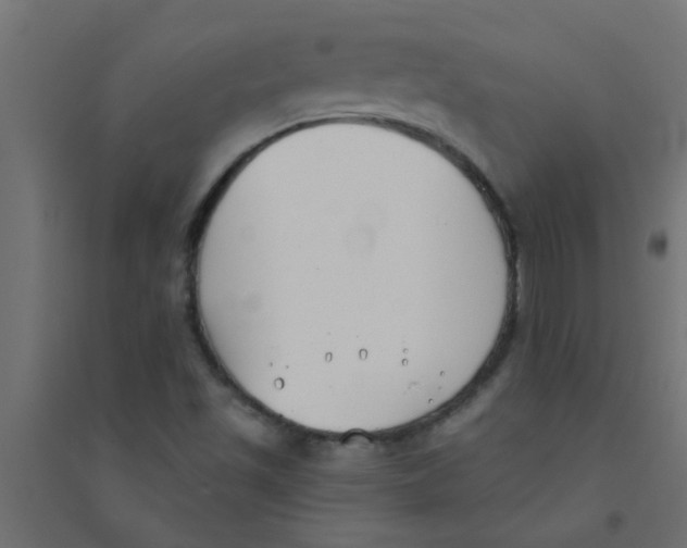 X0000094351501200711241903