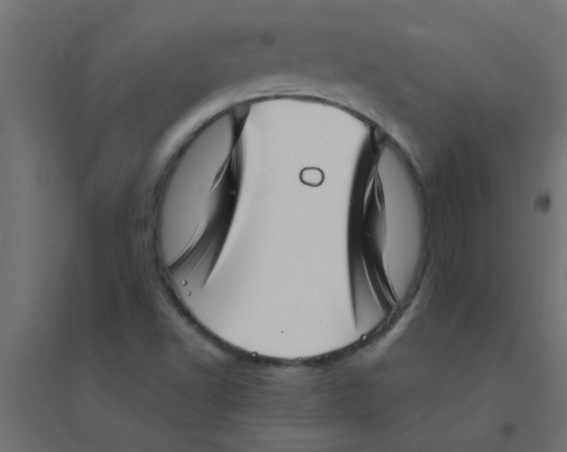 X0000094351502200711241903