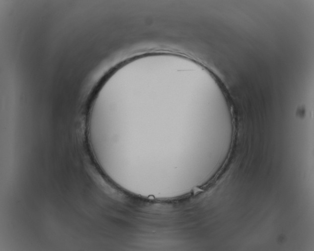 X0000094351503200711241903