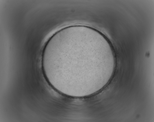 X0000094351504200711241903