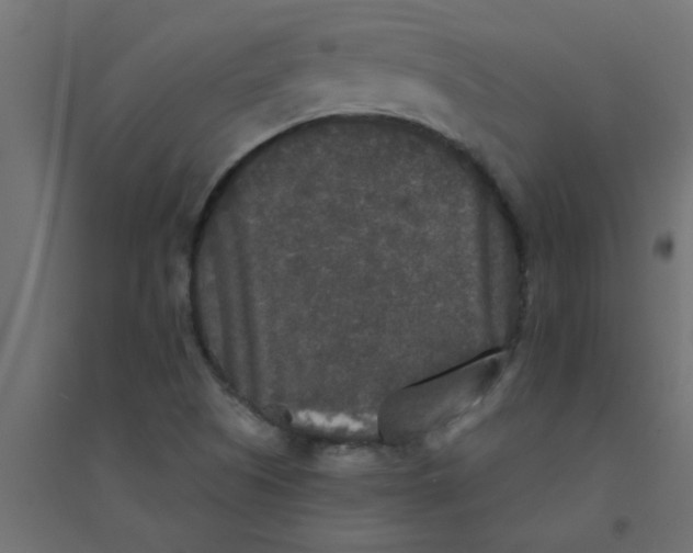 X0000094351505200711241903