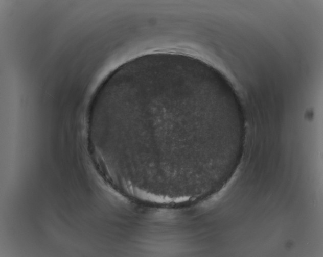 X0000094351506200711241903