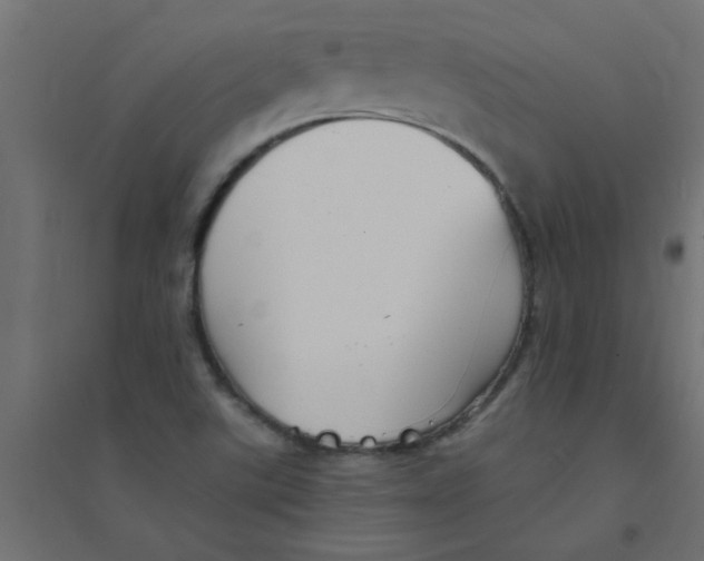 X0000094351507200711241903