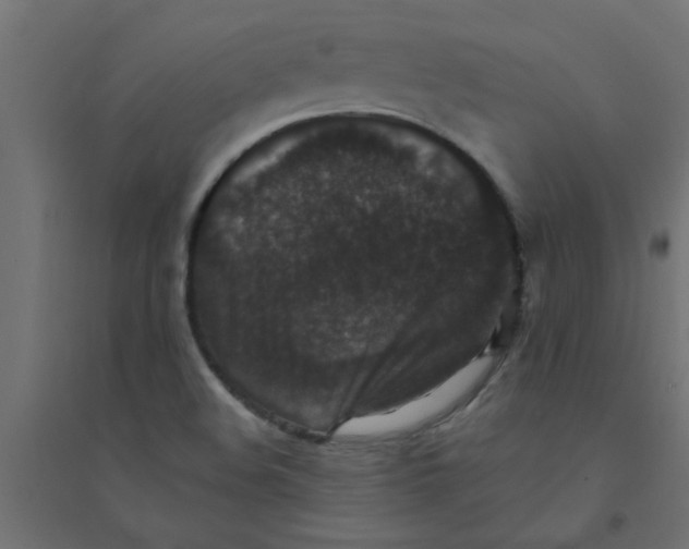 X0000094351508200711241903