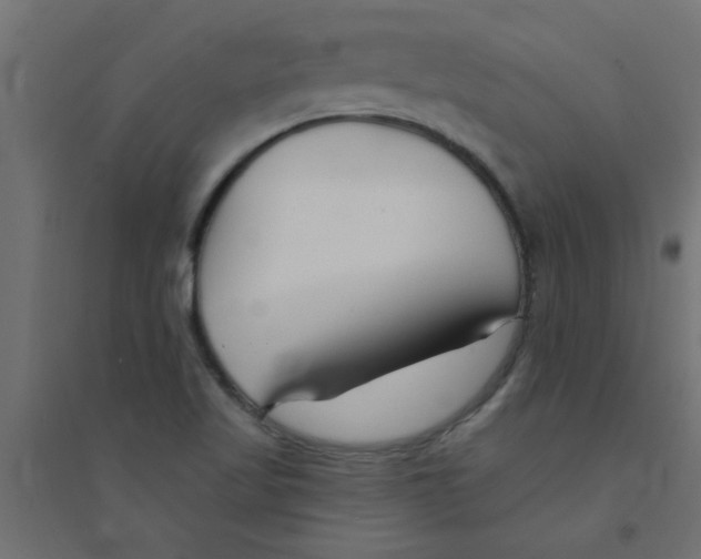 X0000094351509200711241903