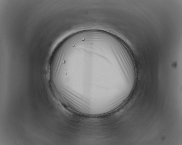 X0000094351510200711241903