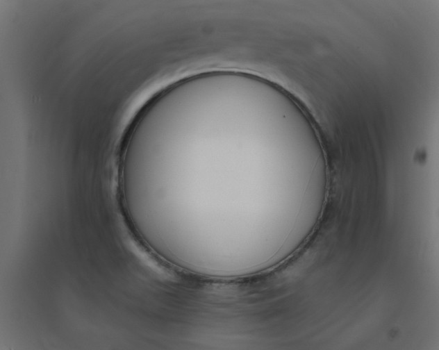 X0000094351511200711241903