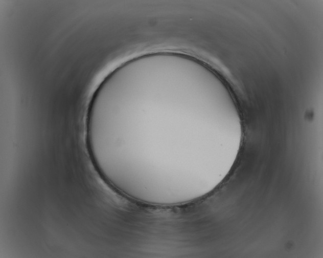 X0000094351512200711241903