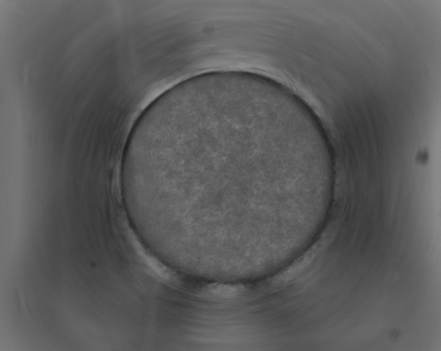 X0000094351513200711241903