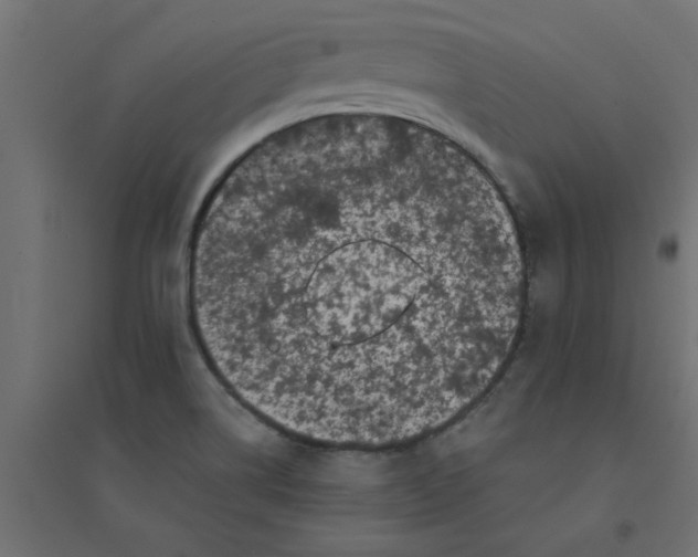 X0000094351514200711241903