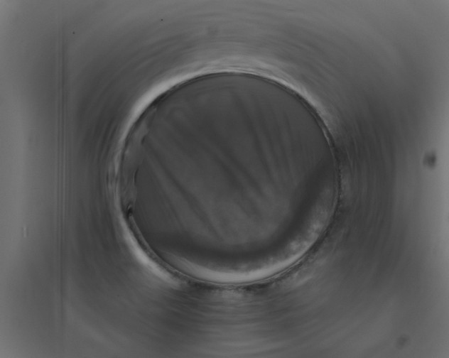 X0000094351515200711241903