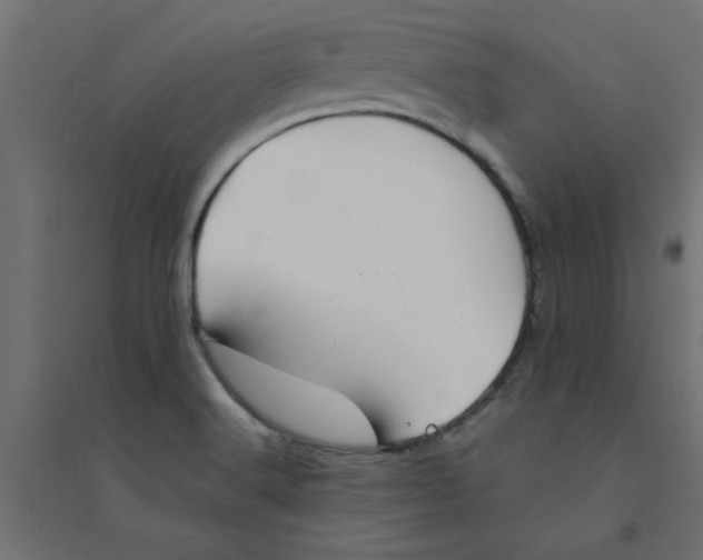 X0000094351516200711241903