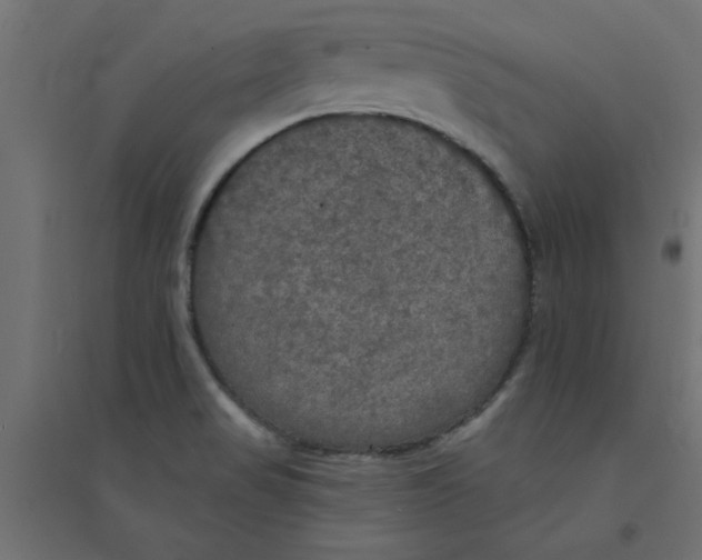 X0000094351517200711241903