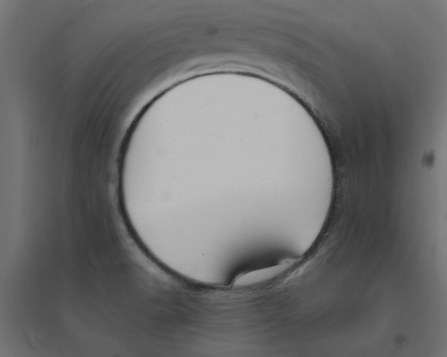 X0000094351518200711241903