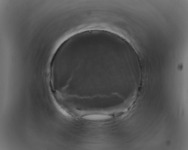 X0000094351519200711241903