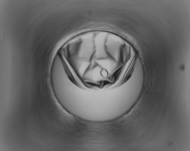 X0000094351520200711241903