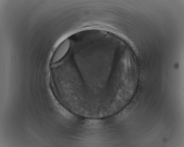 X0000094351522200711241903