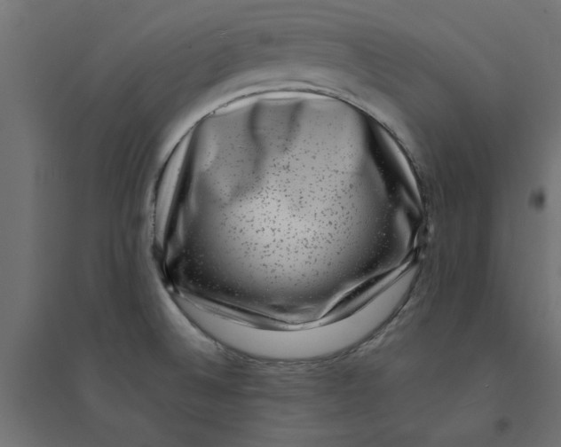 X0000094351524200711241903