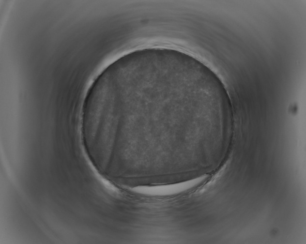 X0000094351525200711241903