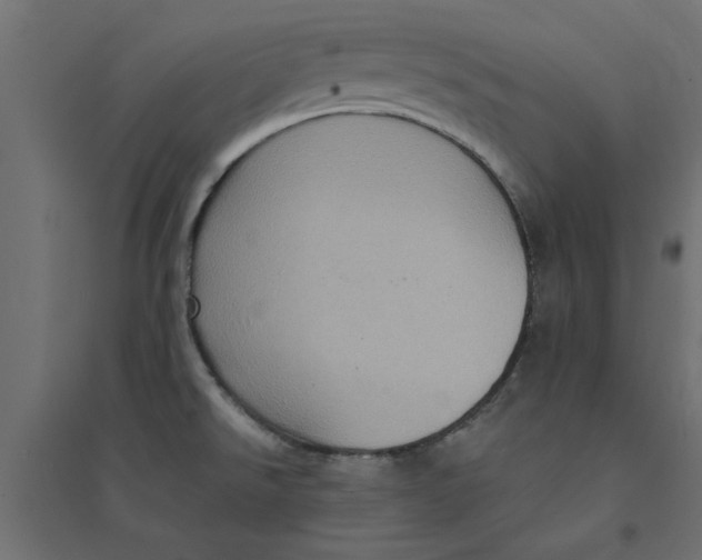 X0000094351526200711241903