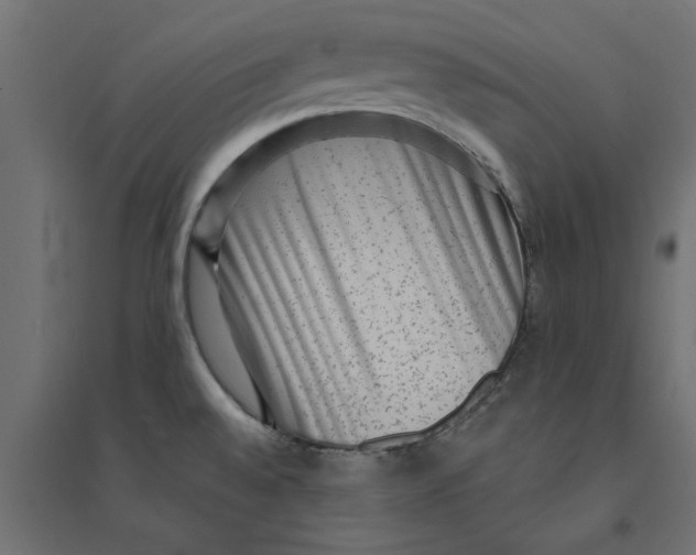 X0000094351528200711241903