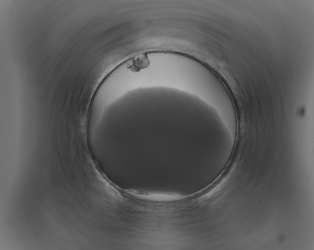 X0000094351529200711241903