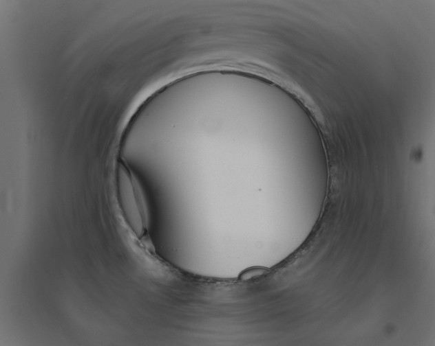 X0000094351530200711241903