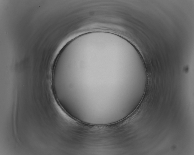 X0000094351531200711241903