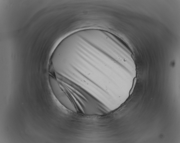 X0000094351532200711241903