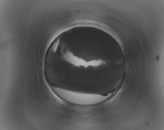 X0000094351533200711241903