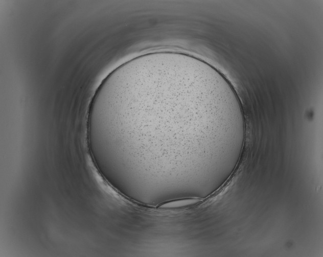 X0000094351534200711241903