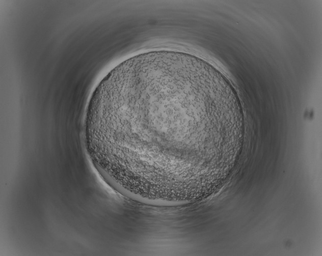 X0000094351536200711241903