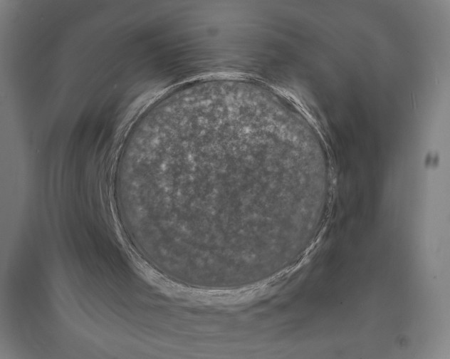 X0000094350001200711301413