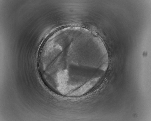 X0000094350002200711301413