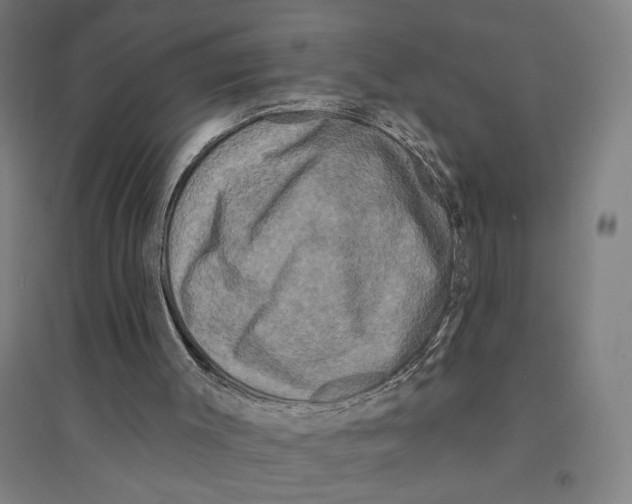 X0000094350003200711301412