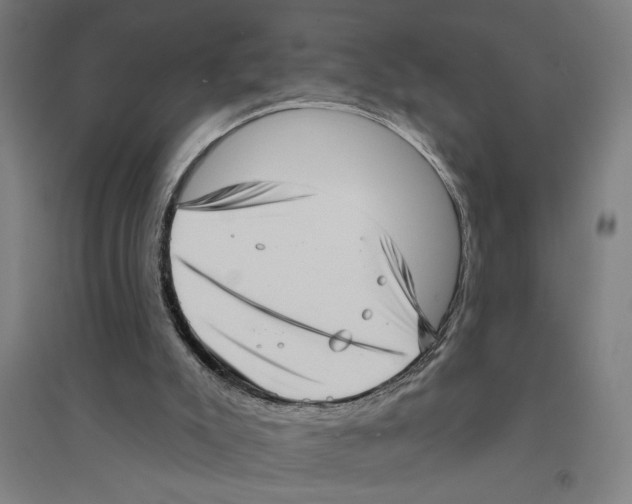 X0000094350007200711301412