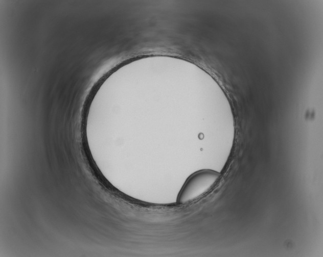X0000094350008200711301412