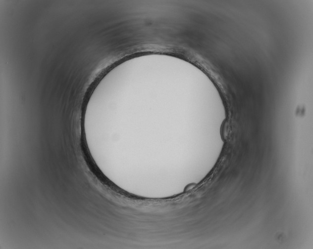 X0000094350011200711301412