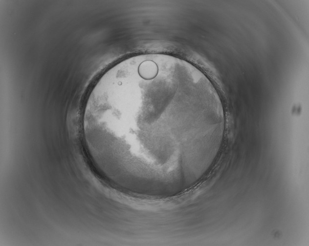 X0000094350012200711301412