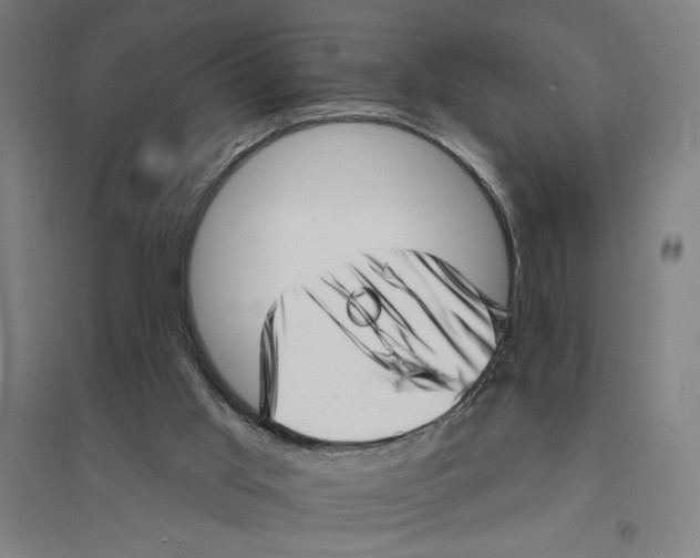 X0000094350013200711301412