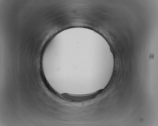 X0000094350015200711301412