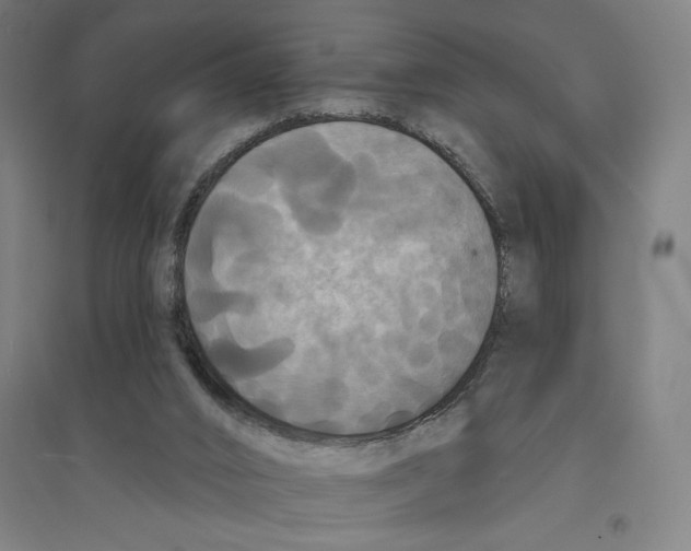 X0000094350016200711301412