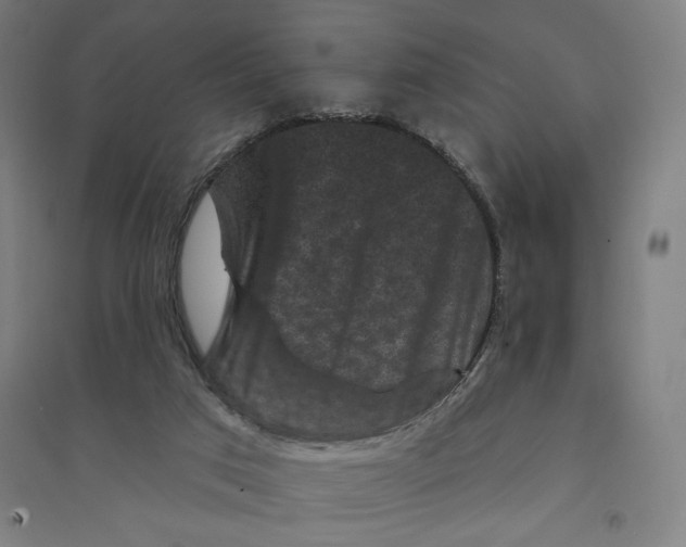 X0000094350017200711301412
