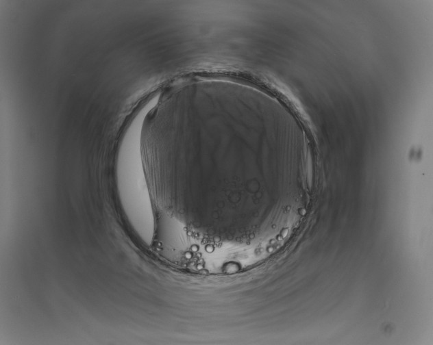 X0000094350019200711301412