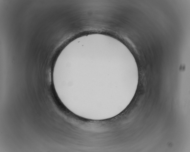 X0000094350020200711301412
