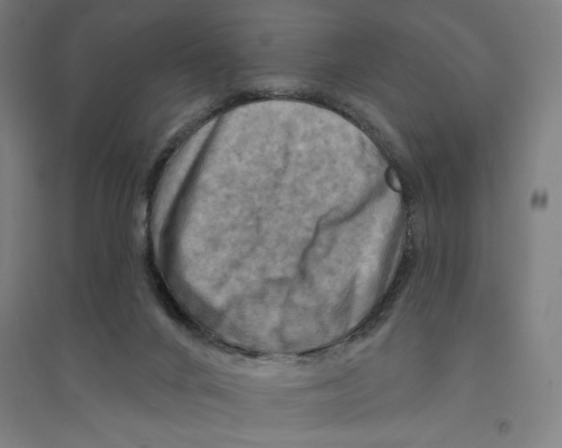 X0000094350024200711301412